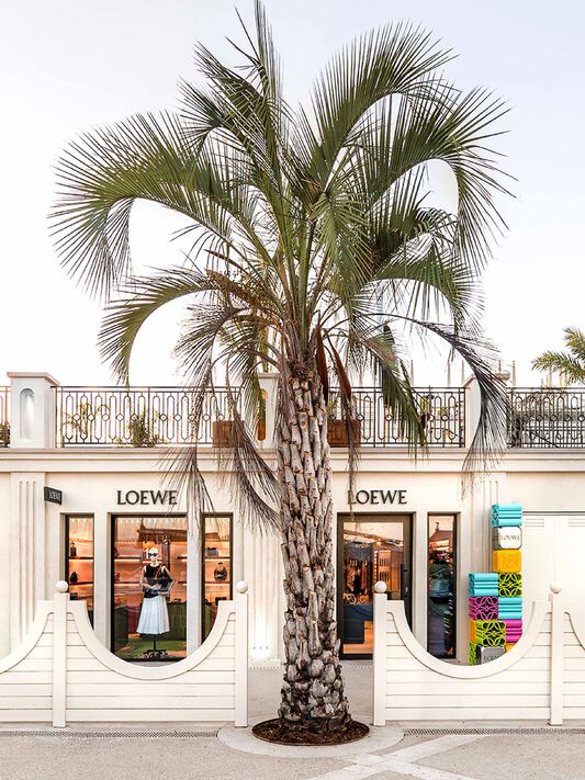 cannes-1