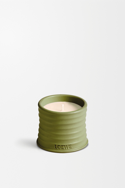 LOEWE Small Pistacchio candle Pistachio