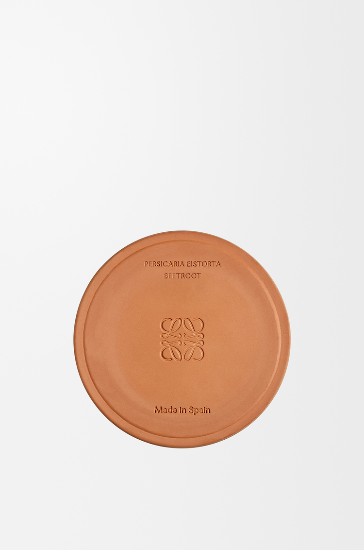LOEWE Medium Beetroot candle Magenta