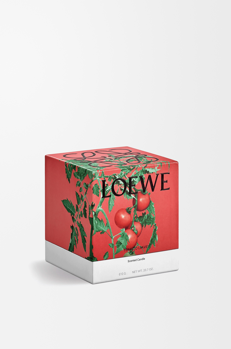 LOEWE トマトリーフ キャンドル ミディアム レッド