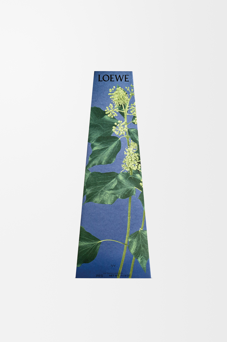 LOEWE 아이비 왁스 캔들홀더 라이트 핑크