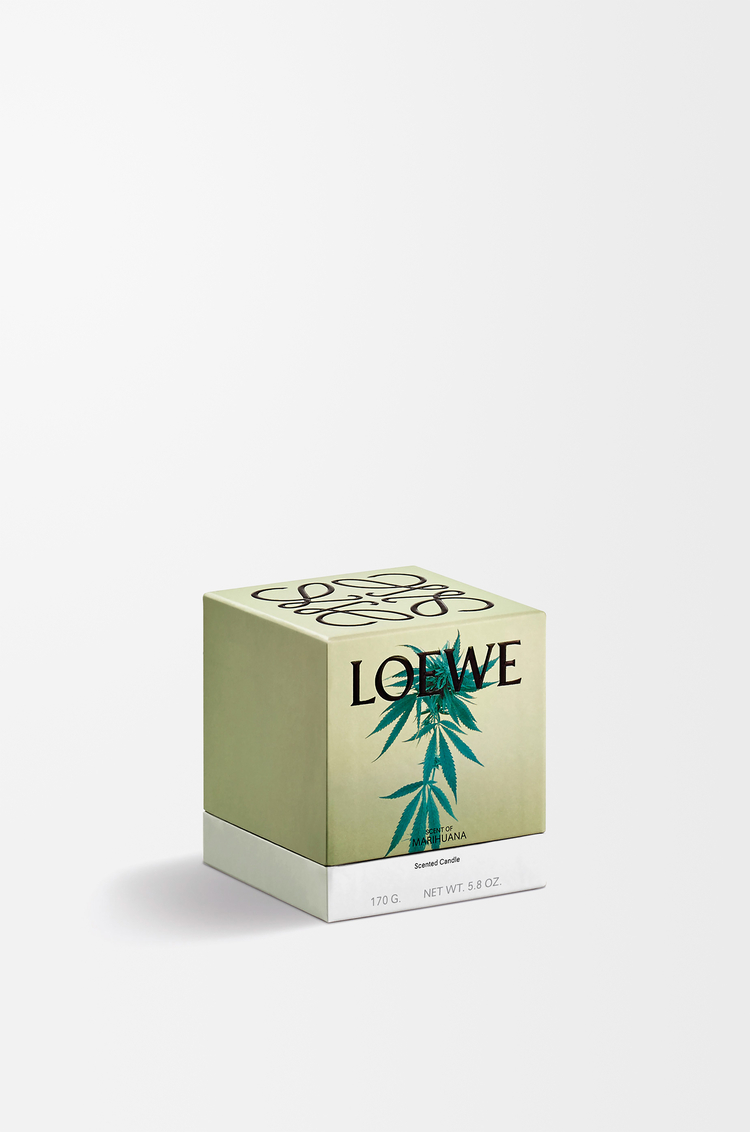 LOEWE Vela pequeña Scent of Marihuana Verde Oscuro