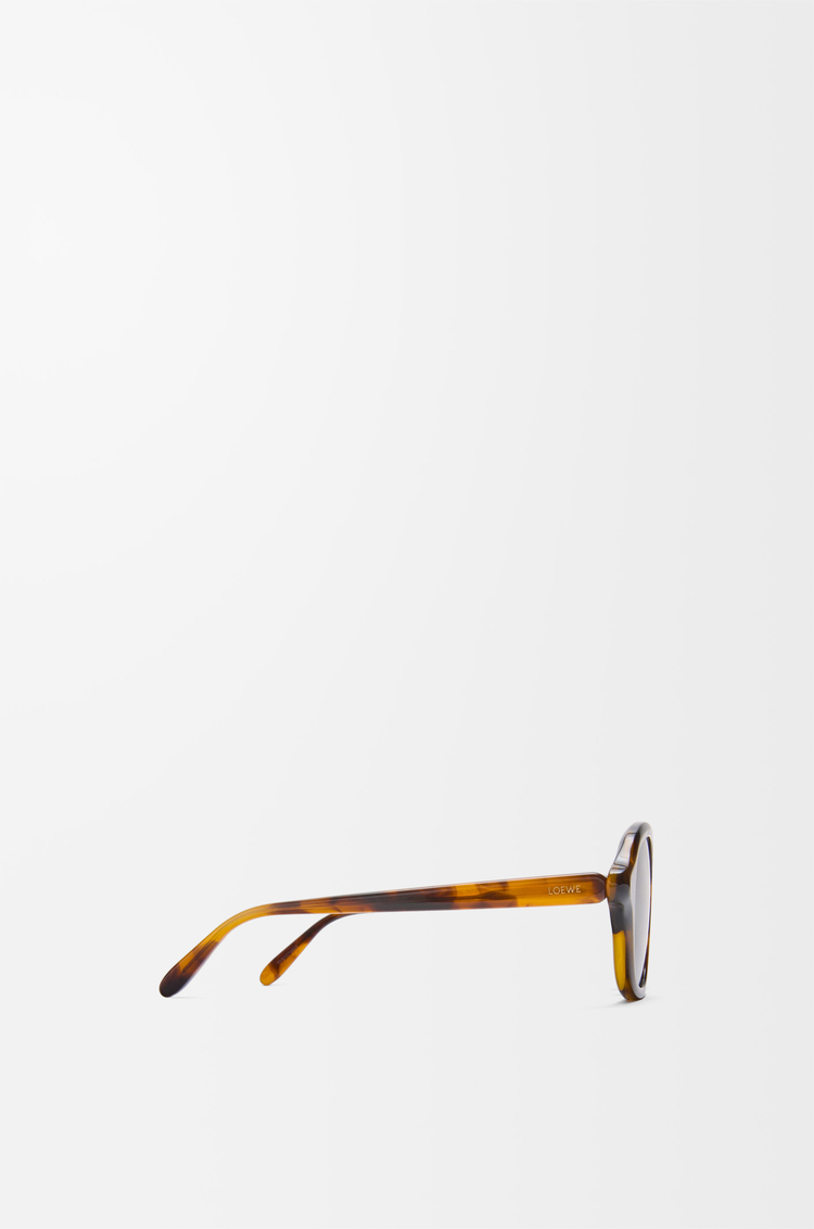 LOEWE Alpha Slim sunglasses Havana Special