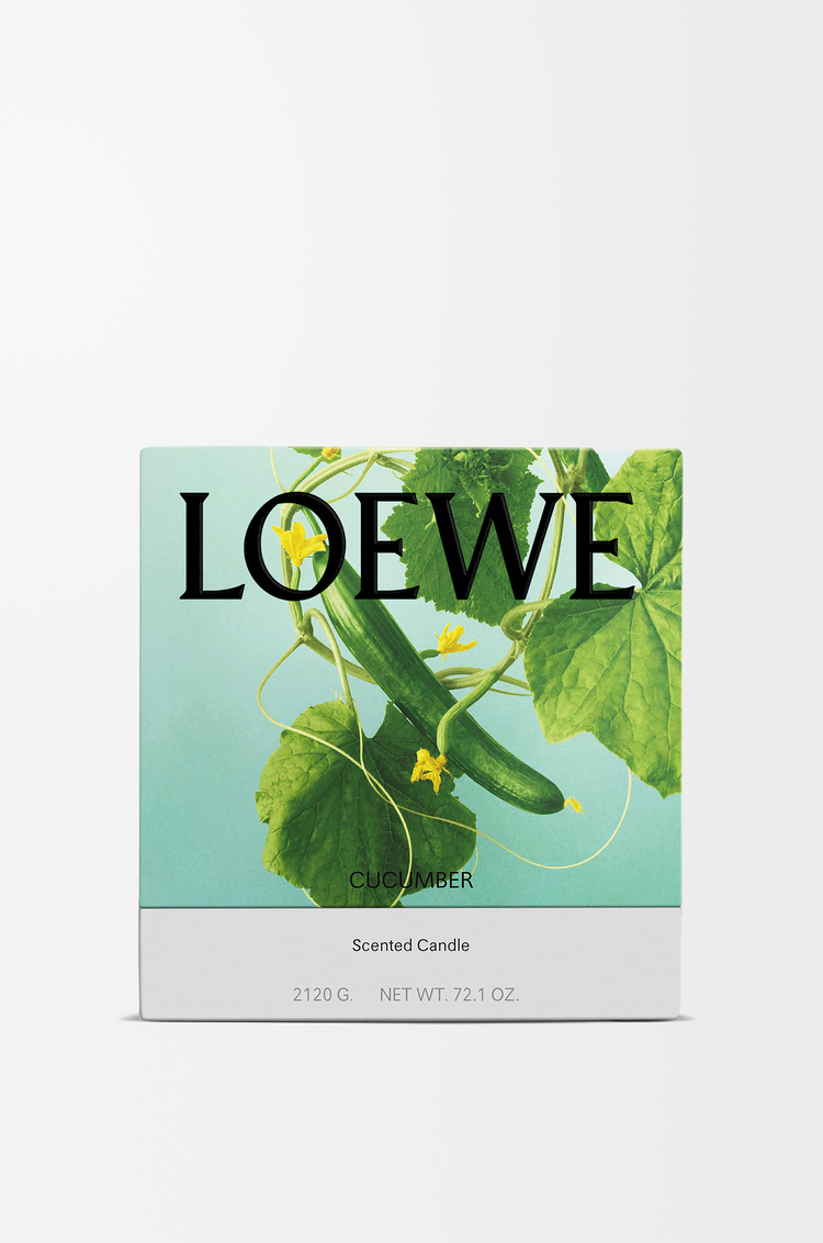 LOEWE 大型黃瓜蠟燭 淺綠色