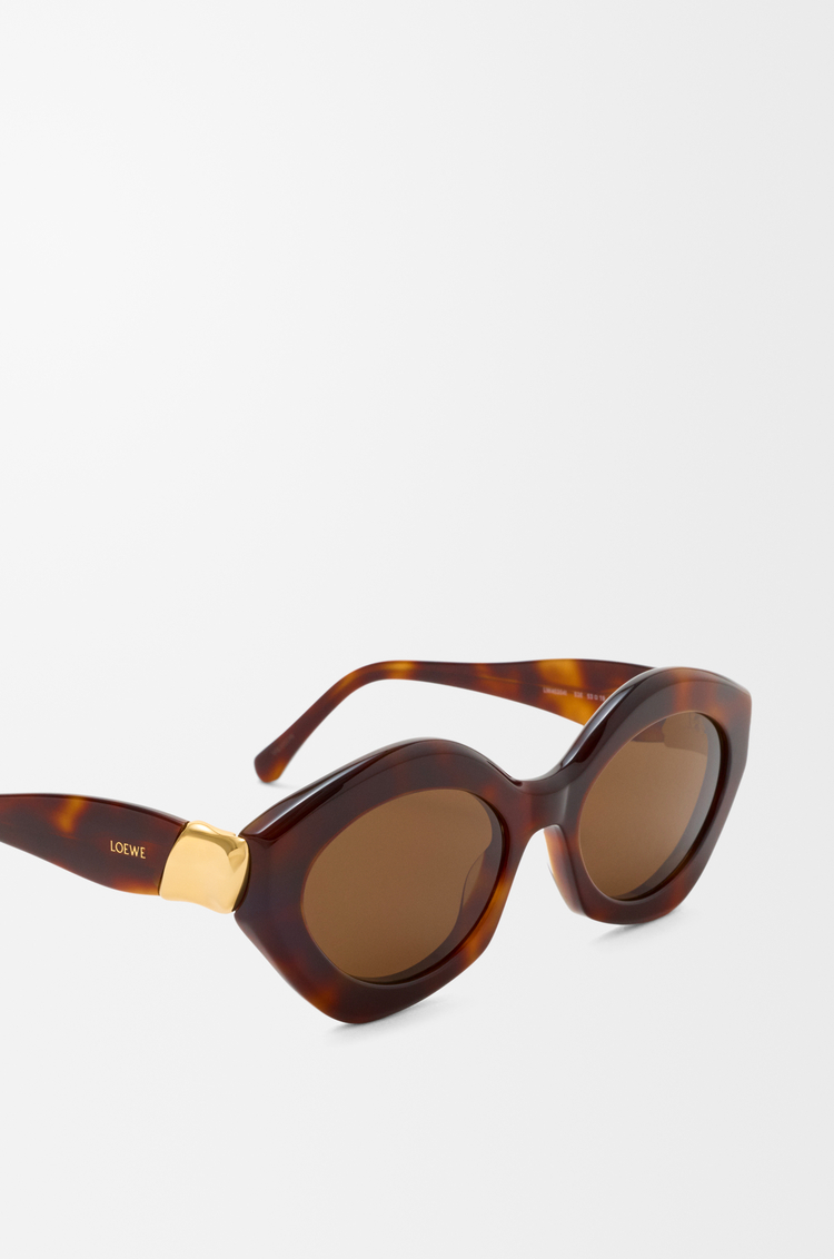 LOEWE Coil Cateye sunglasses Havana