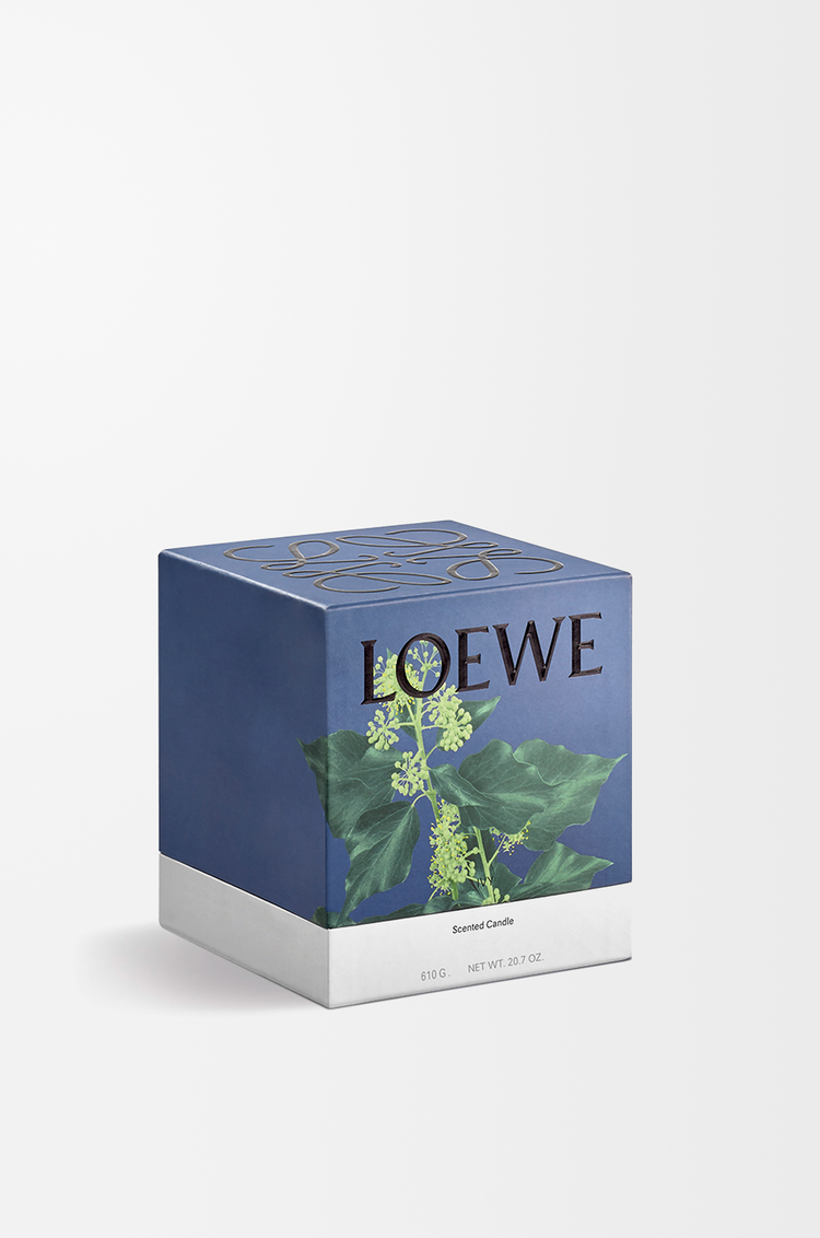 LOEWE Medium Ivy candle Light Pink