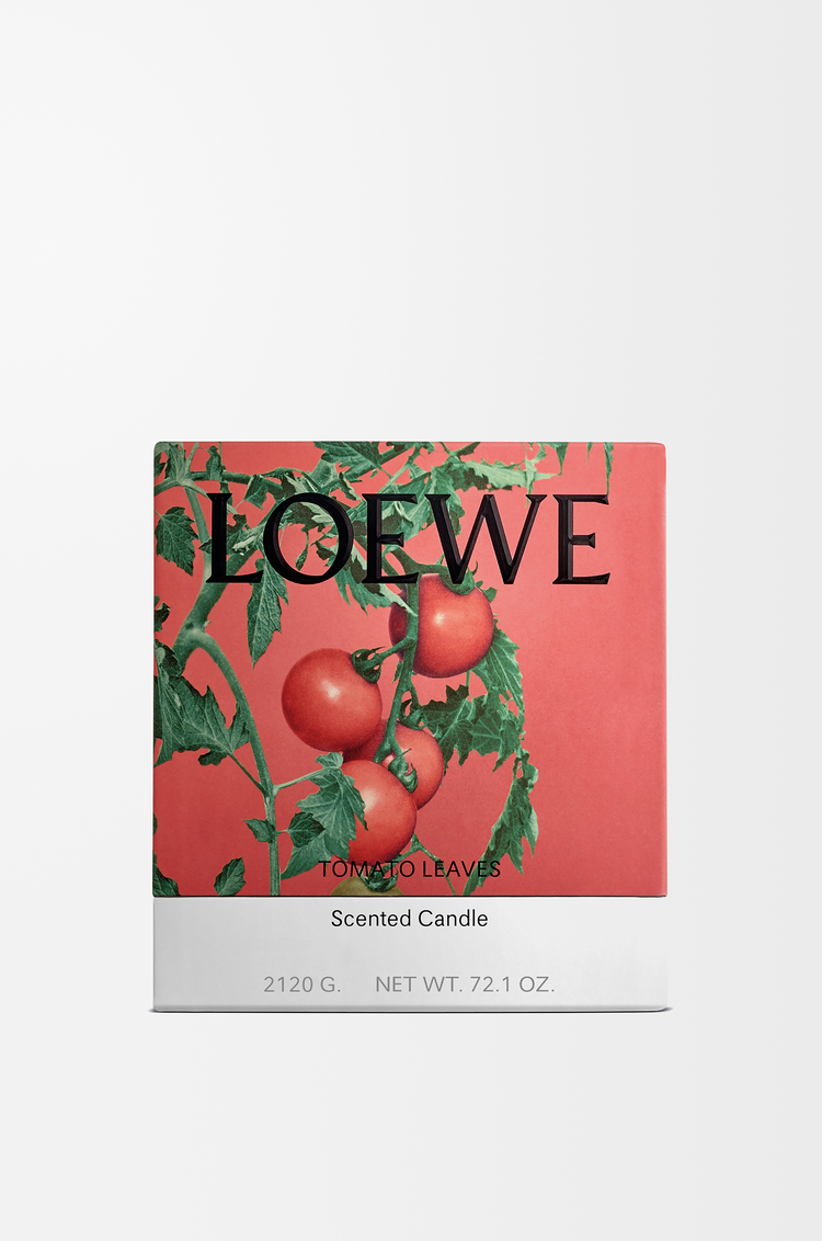 LOEWE Vela grande Tomato Leaves Rojo