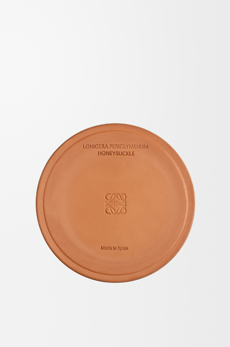 LOEWE 라지 허니서클 캔들 옐로우