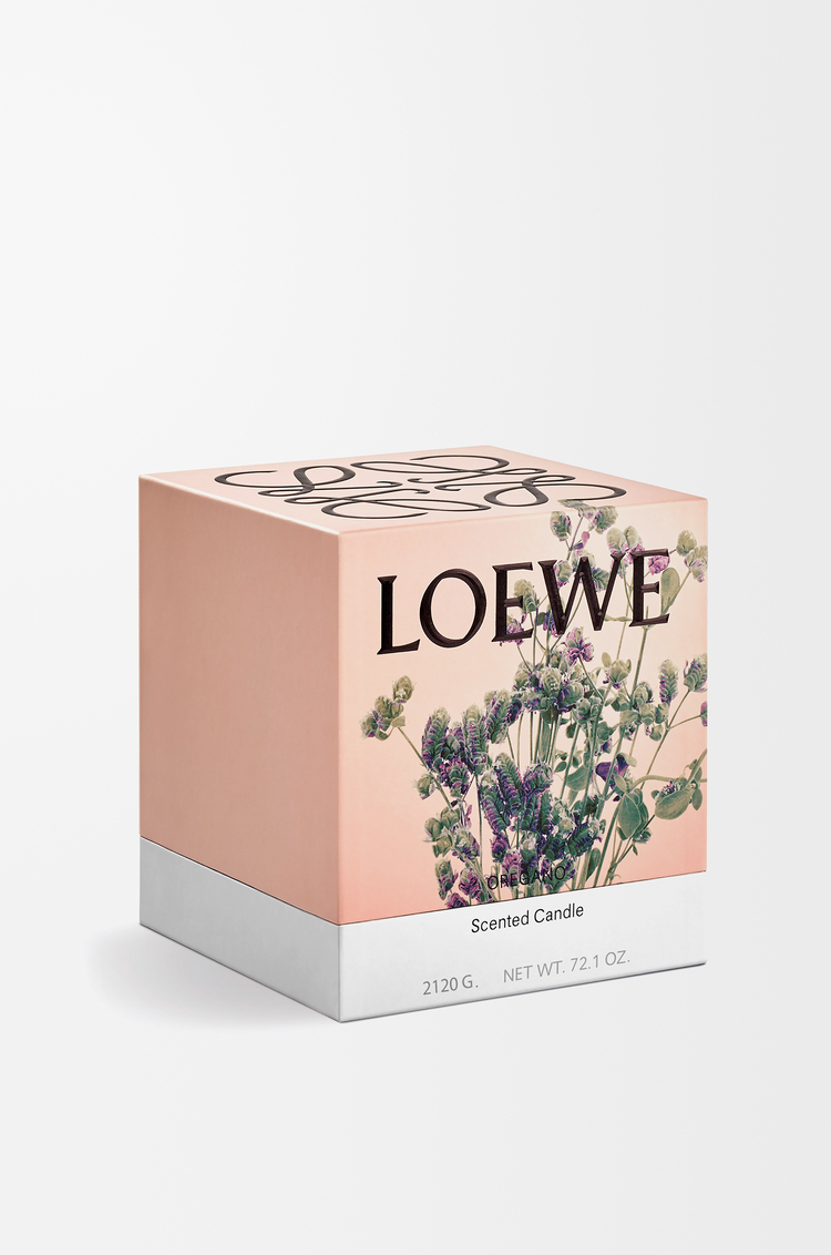 LOEWE 大型奧勒岡香氛蠟燭 白色