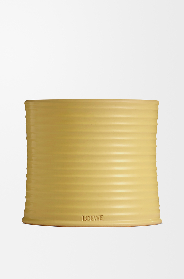 LOEWE 라지 허니서클 캔들 옐로우