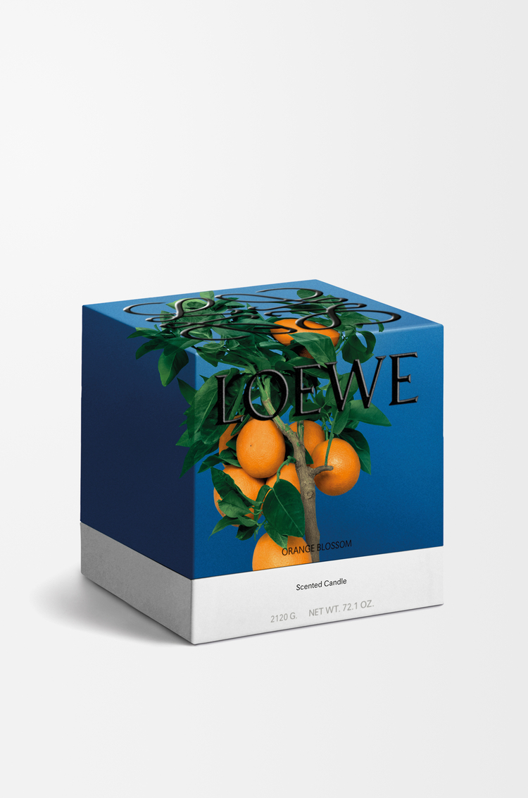 LOEWE 大型橙花香氛蠟燭 亮柑橘色