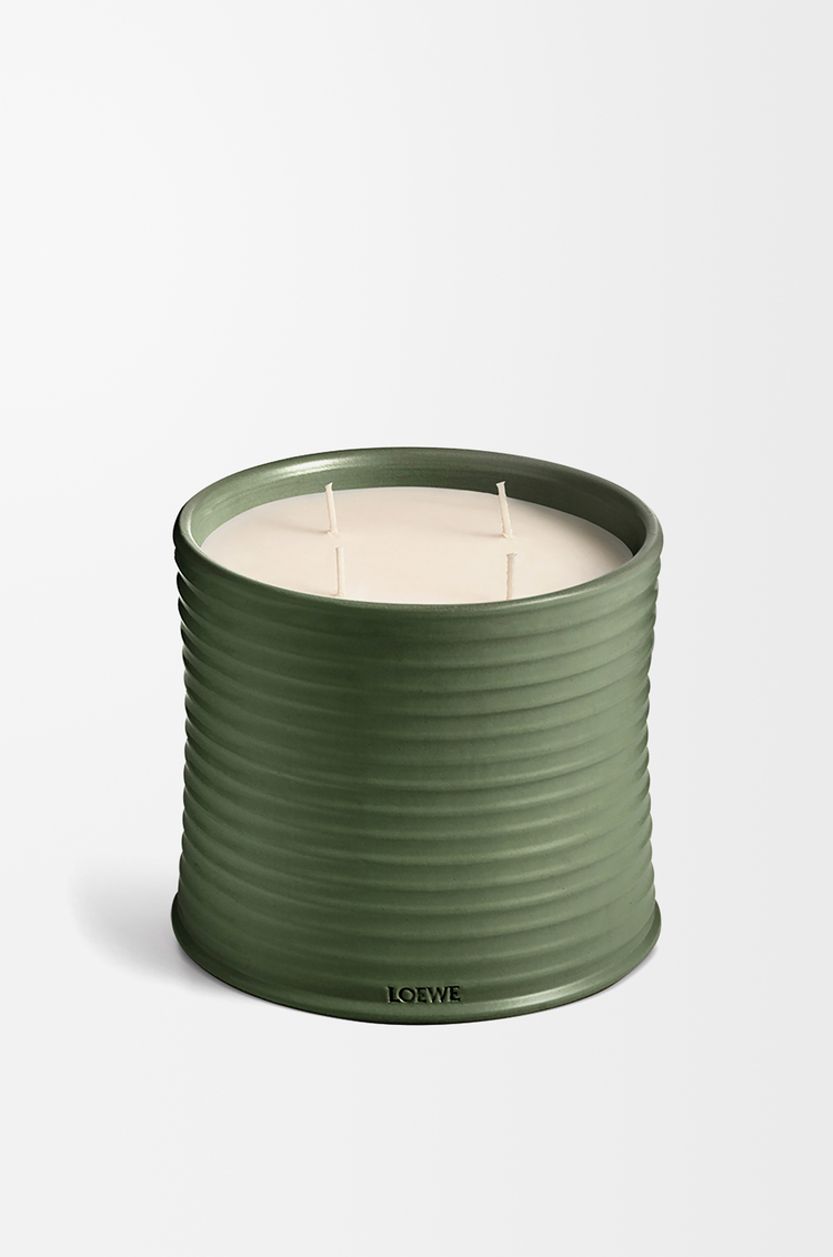 LOEWE Vela grande Scent of Marihuana Verde Oscuro