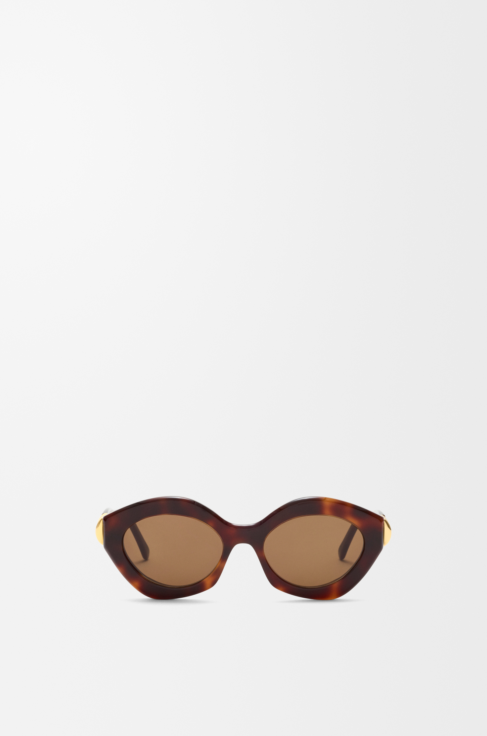 LOEWE Coil Cateye sunglasses Havana