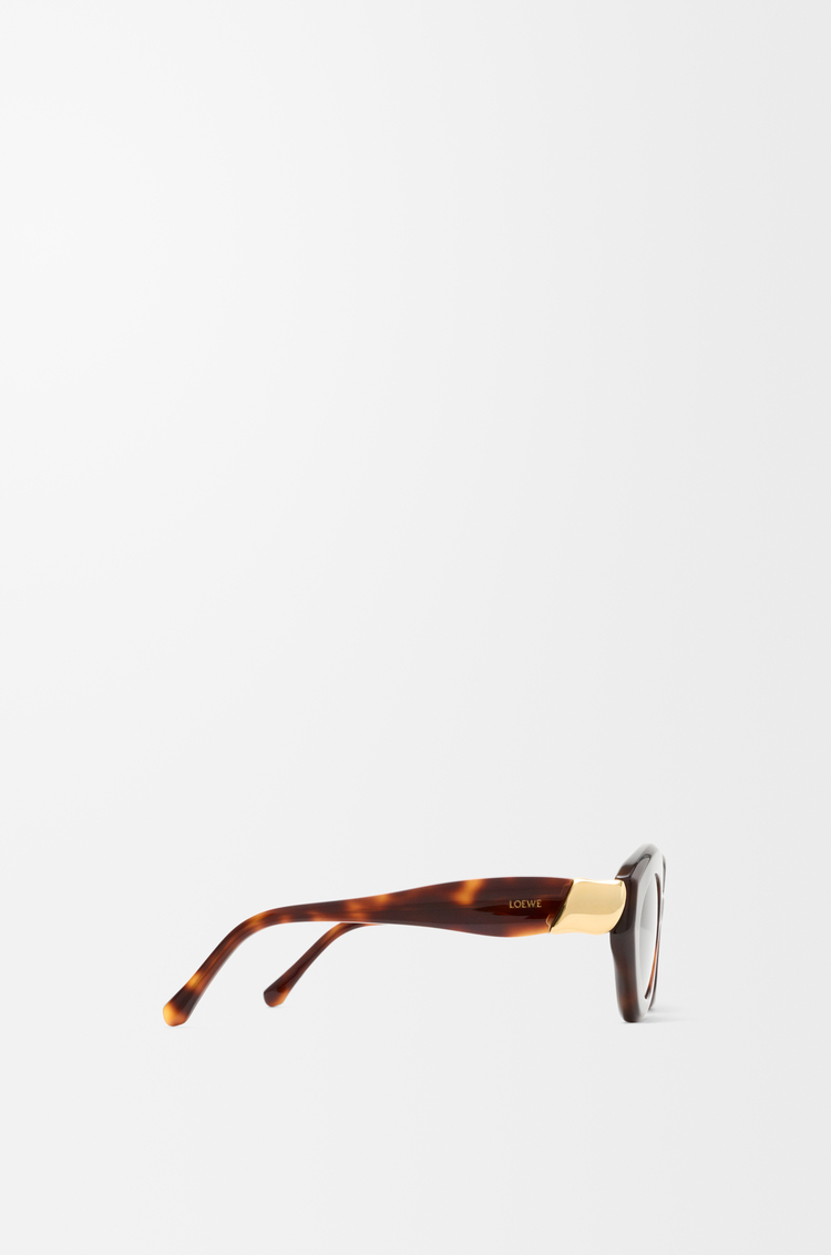 LOEWE Coil Cateye sunglasses Havana