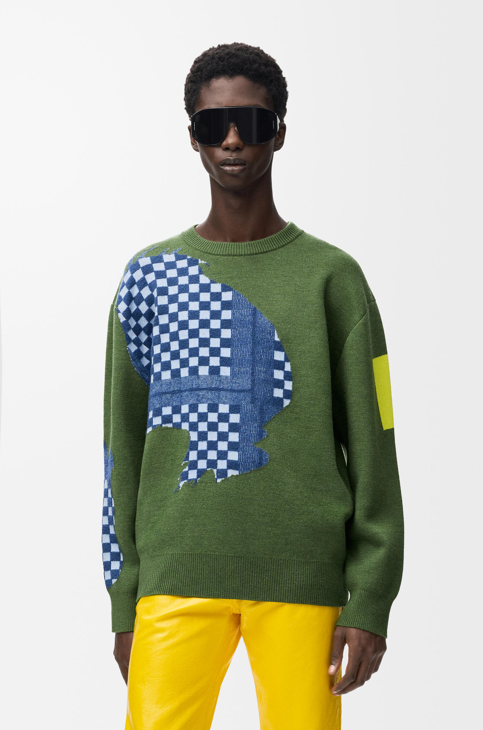 LOEWE Sweater in wool Green/Multicolor