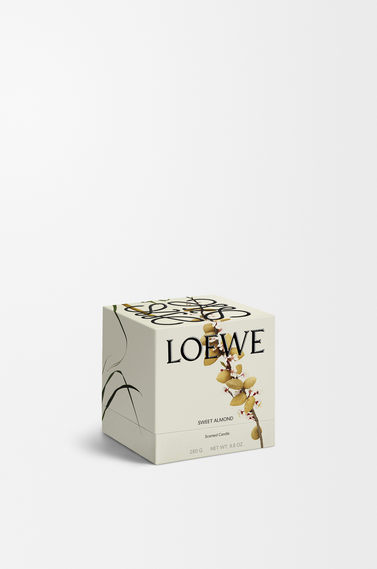 LOEWE Midi Sweet Almond scented candle Red