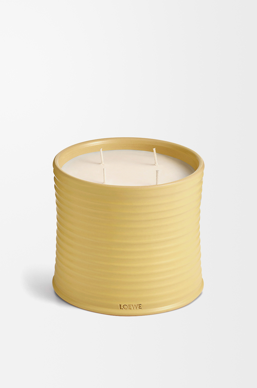 LOEWE Grande bougie Honeysuckle Jaune