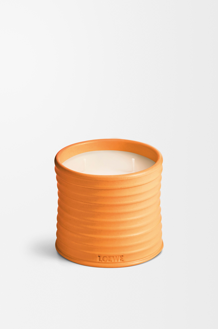 LOEWE 中号橙花蜡烛 亮橘色