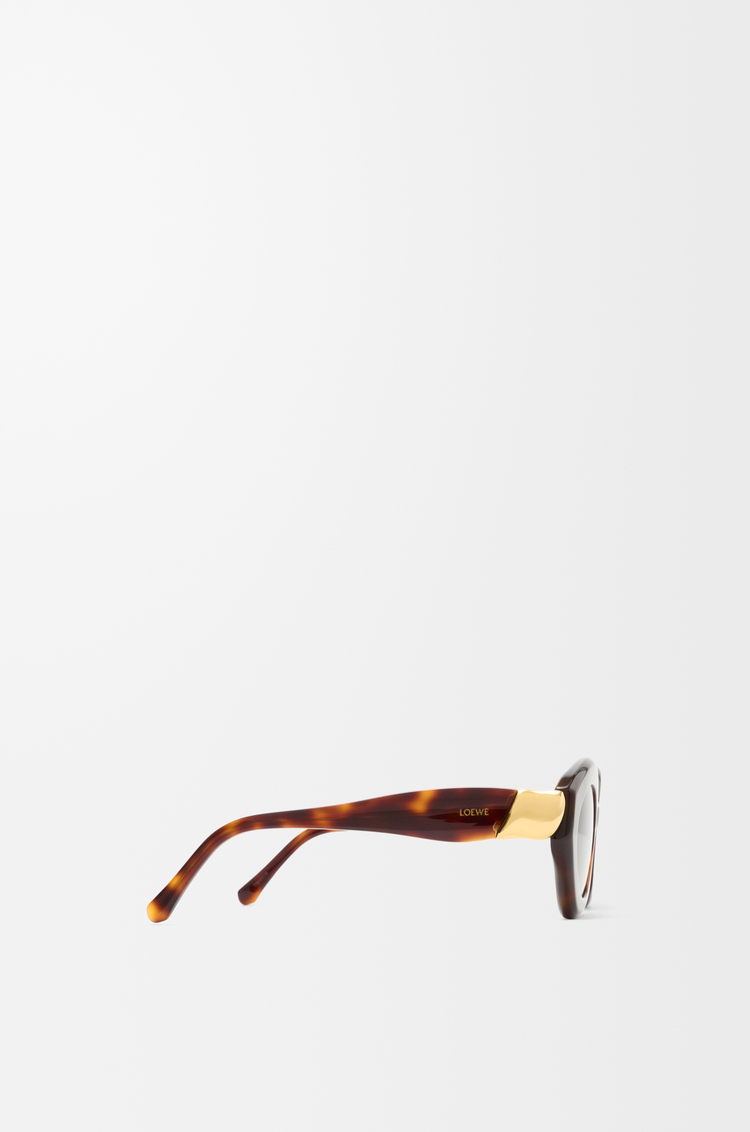 LOEWE Gafas de sol Coil Cateye Marrón Habano