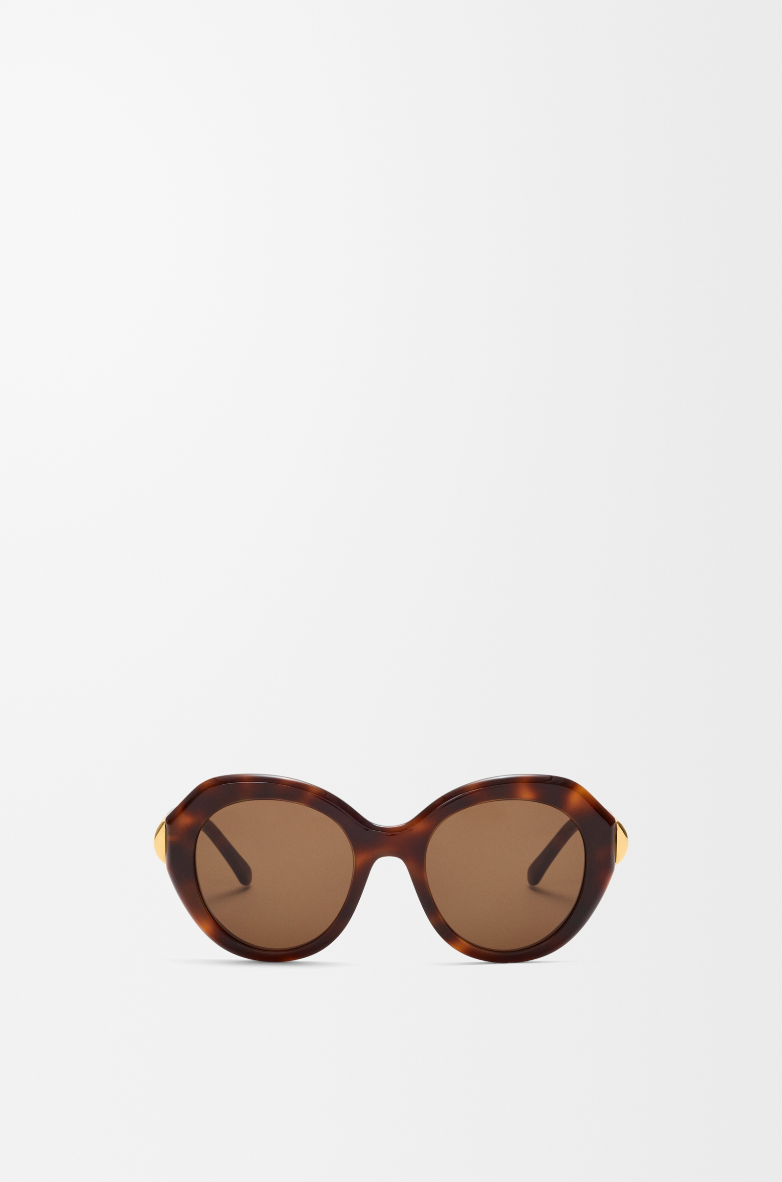 LOEWE Coil Butterfly sunglasses Havana