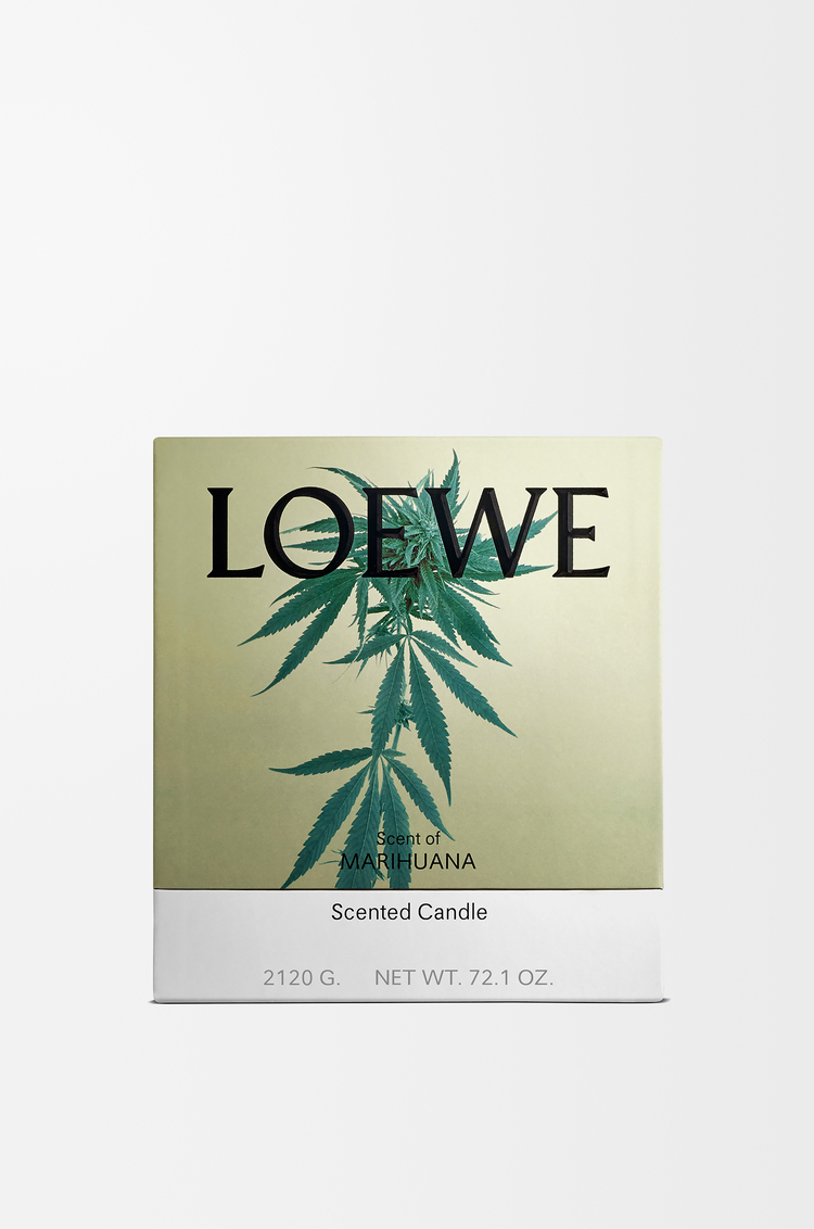 LOEWE Vela grande Scent of Marihuana Verde Oscuro