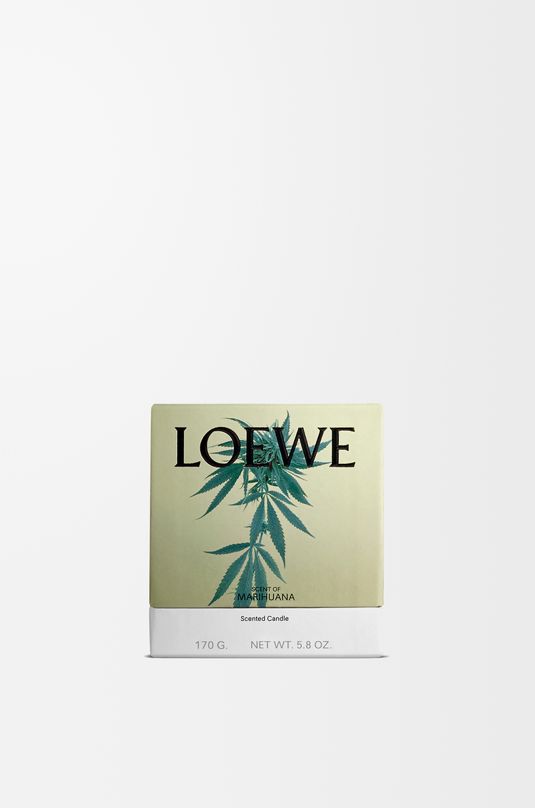 LOEWE Vela pequeña Scent of Marihuana Verde Oscuro