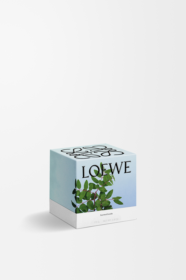 LOEWE Vela pequeña Incense Azul Oscuro