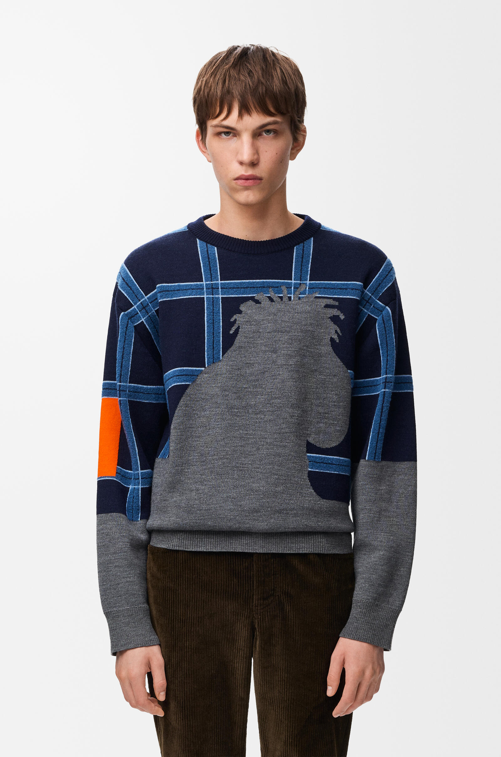 LOEWE Sweater in wool Grey/Multicolour