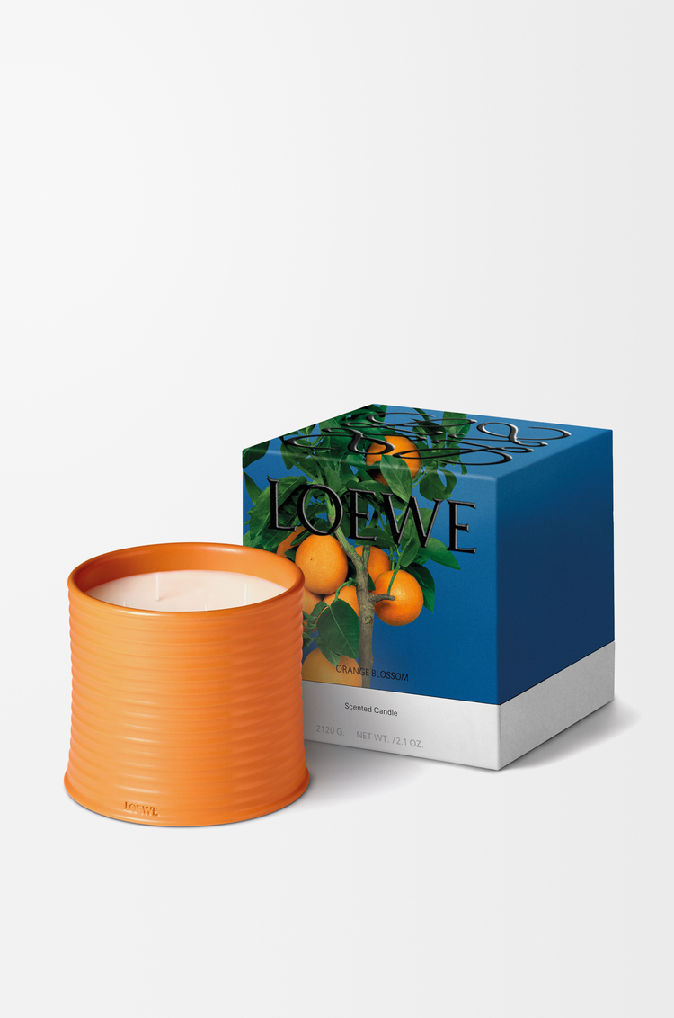 LOEWE 大型橙花香氛蠟燭 亮柑橘色