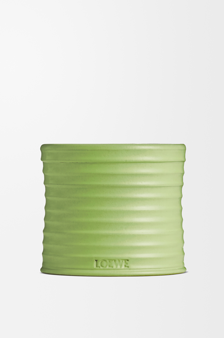 LOEWE Medium Cucumber candle Light Green