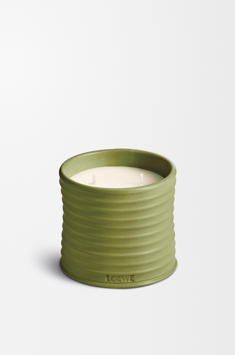 LOEWE 中号开心果蜡烛 开心果绿