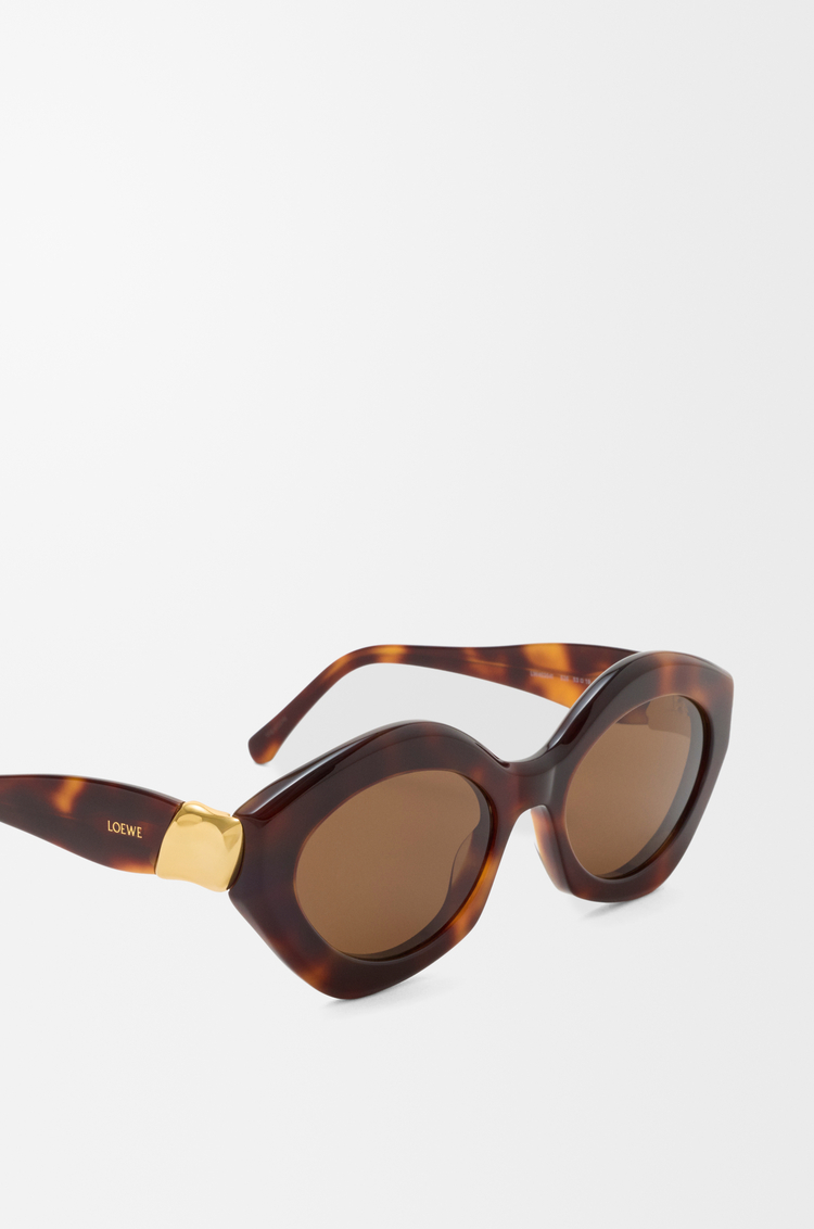LOEWE Gafas de sol Coil Cateye Marrón Habano