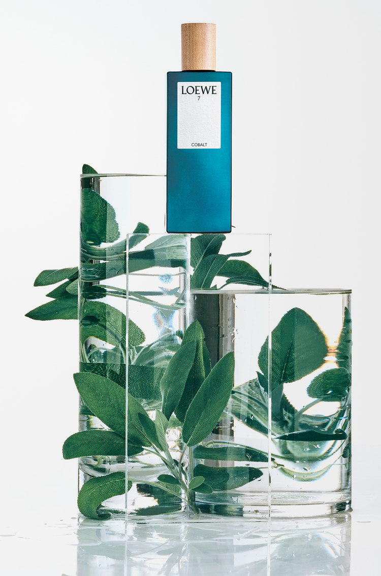 LOEWE LOEWE 7 Cobalt Eau de Parfum 50 ml Farblos