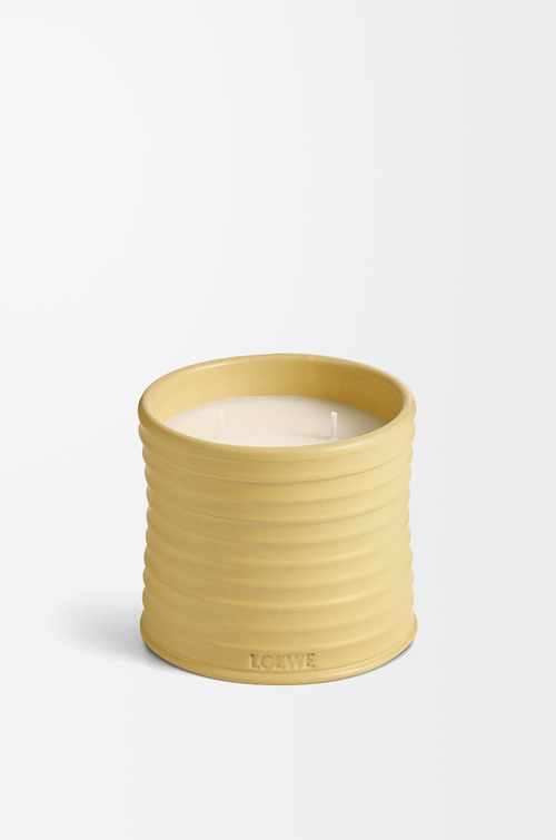 LOEWE Bougie moyenne Honeysuckle Jaune