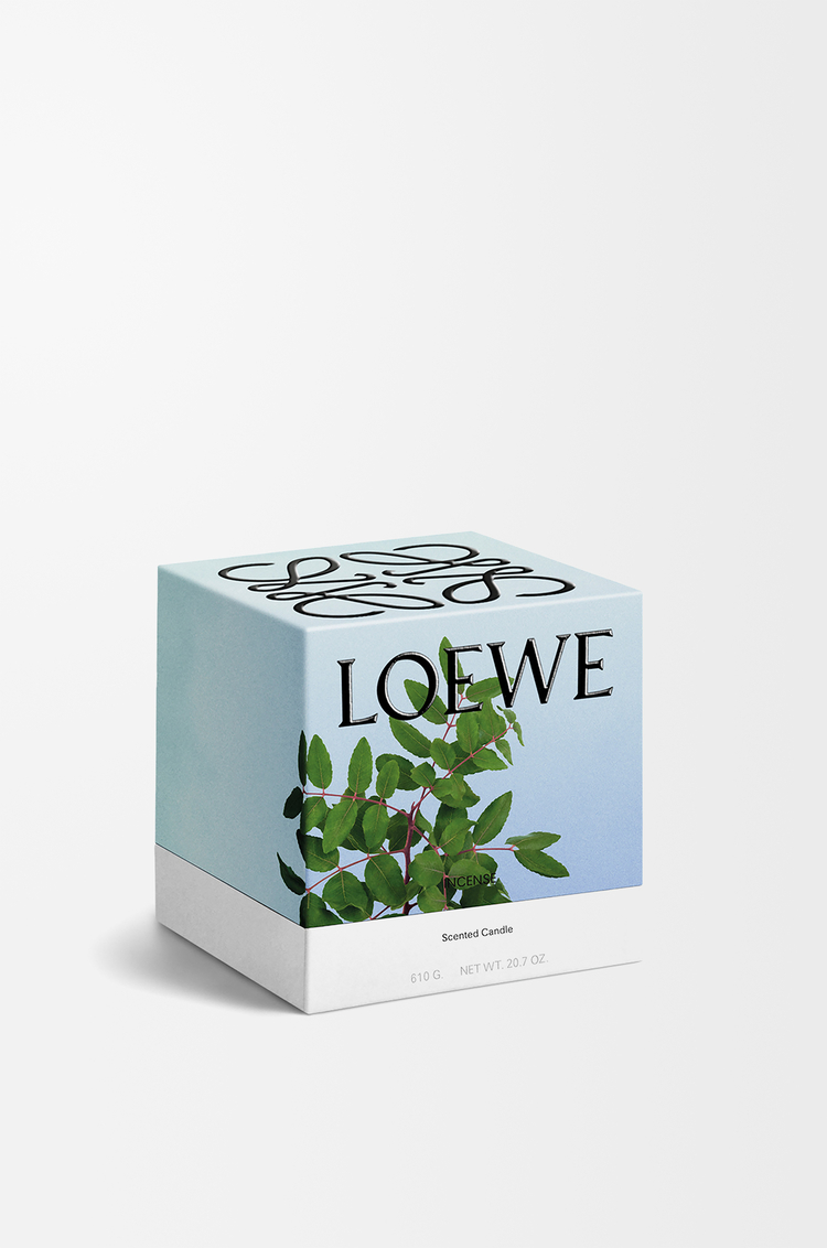 LOEWE Medium Incense candle Dark Blue