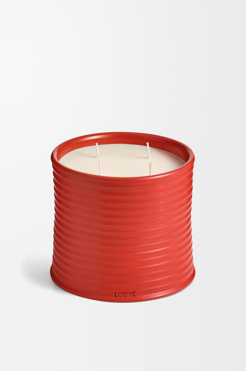 LOEWE Grande bougie Tomato Leaves Rouge