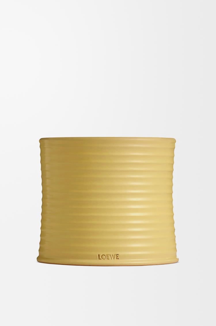 LOEWE 中号金银花香氛蜡烛 黄色