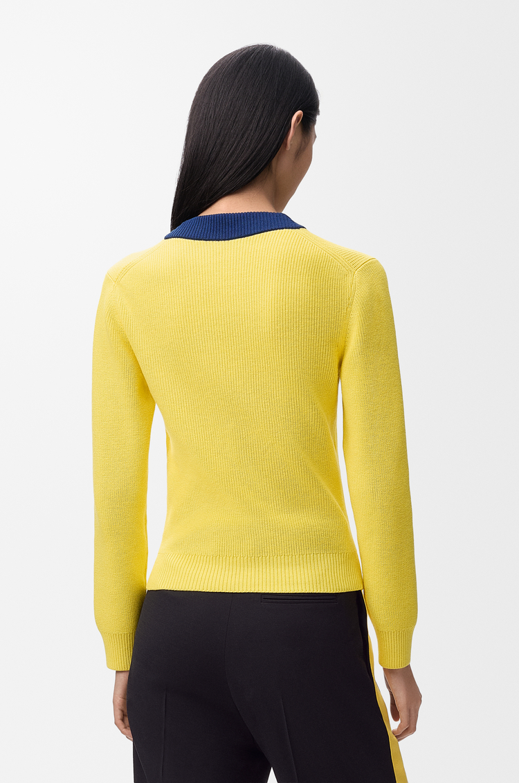 LOEWE Sweater in cotton and wool Yellow/Blue