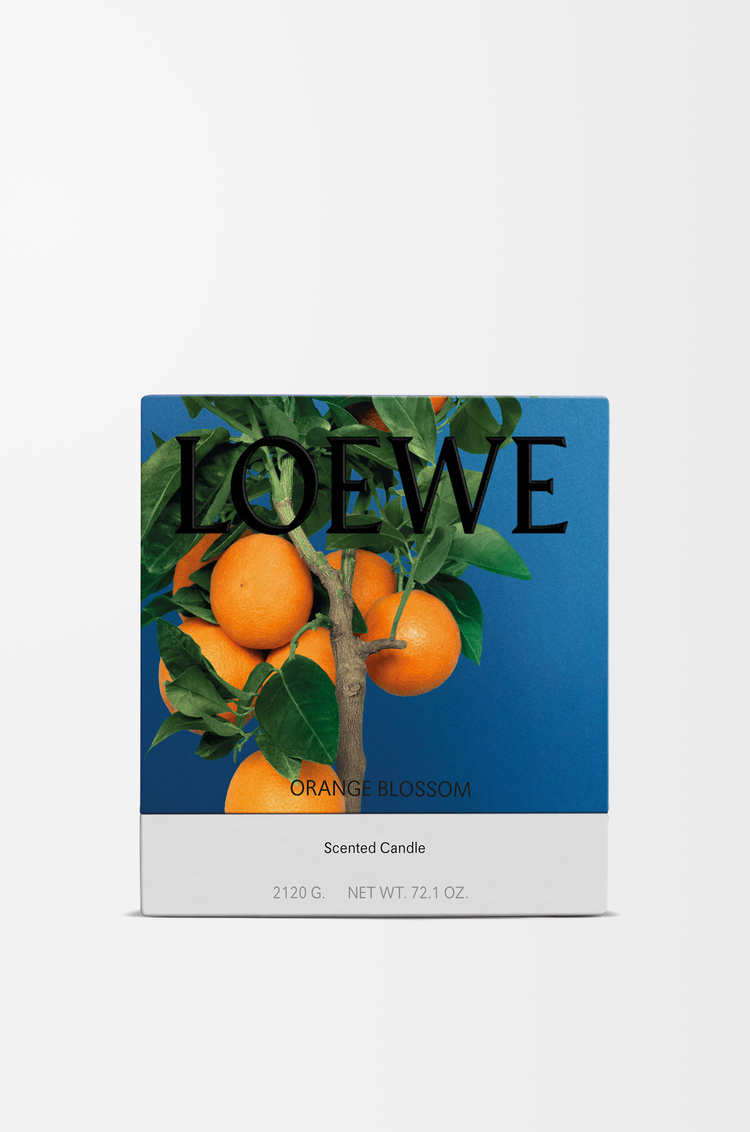 LOEWE 大型橙花香氛蠟燭 亮柑橘色