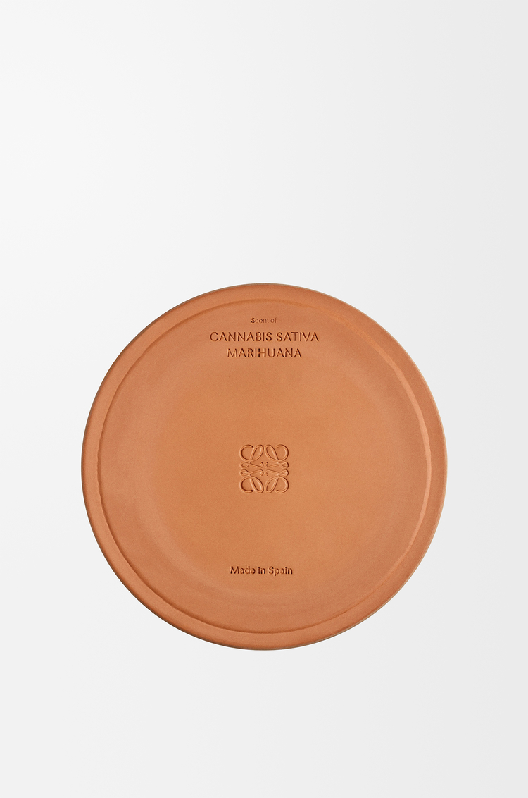 LOEWE Vela grande Scent of Marihuana Verde Oscuro