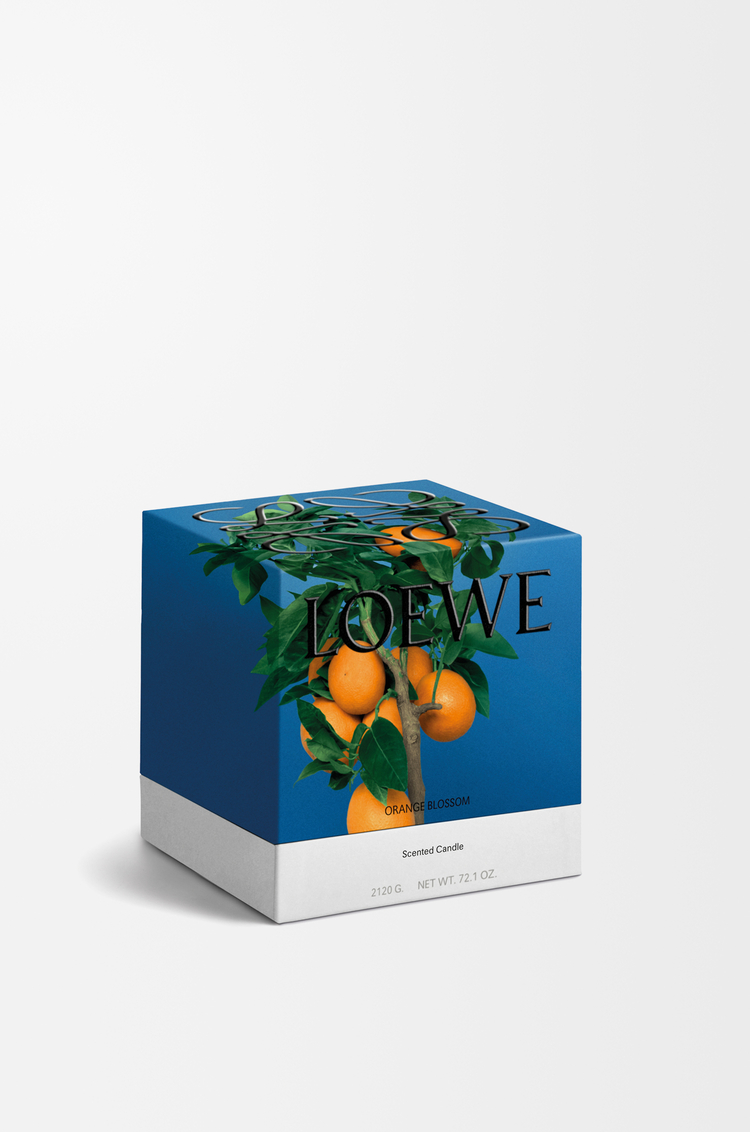 LOEWE 中号橙花蜡烛 亮橘色
