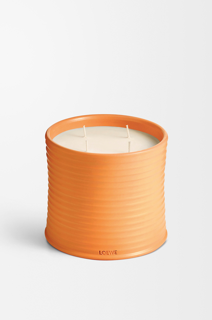 LOEWE Grande bougie Orange Blossom Mandarine Vif