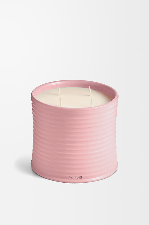 LOEWE Grande bougie Ivy Rose Clair