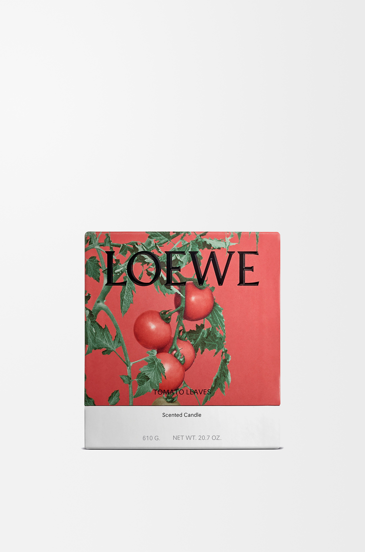 LOEWE トマトリーフ キャンドル ミディアム レッド