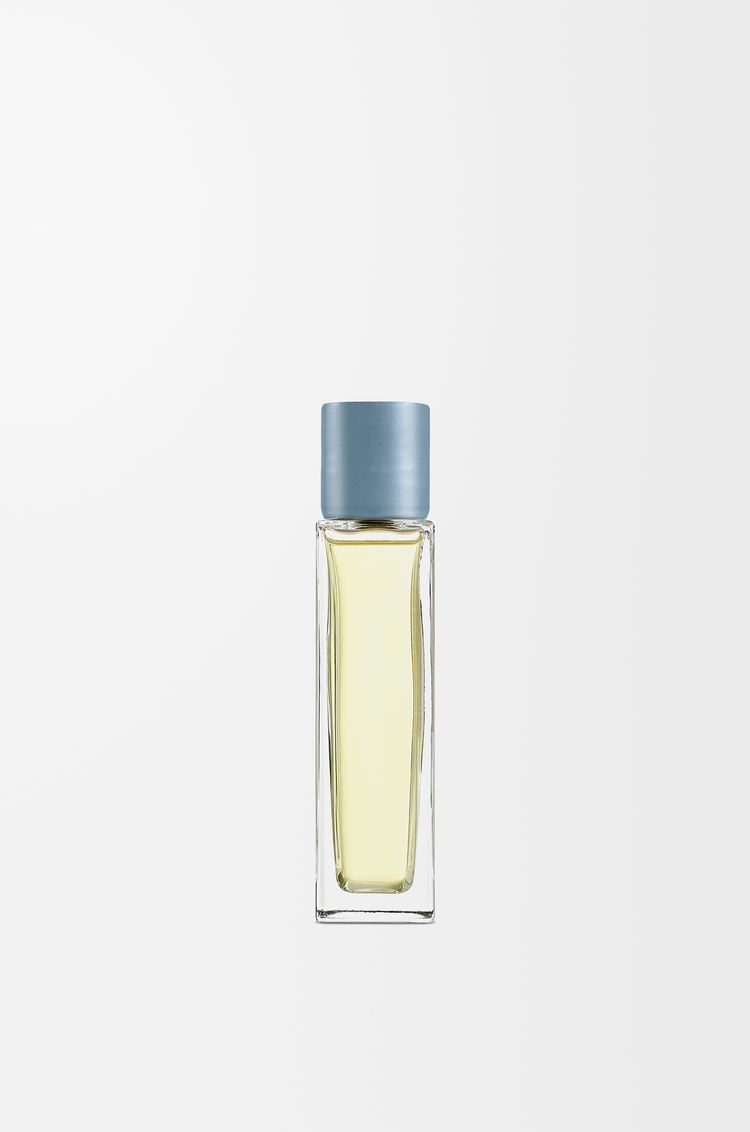 LOEWE サイプレスボール ルームスプレー ベビーブルー