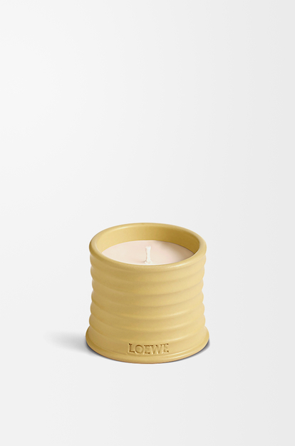 LOEWE Small Honeysuckle candle Yellow
