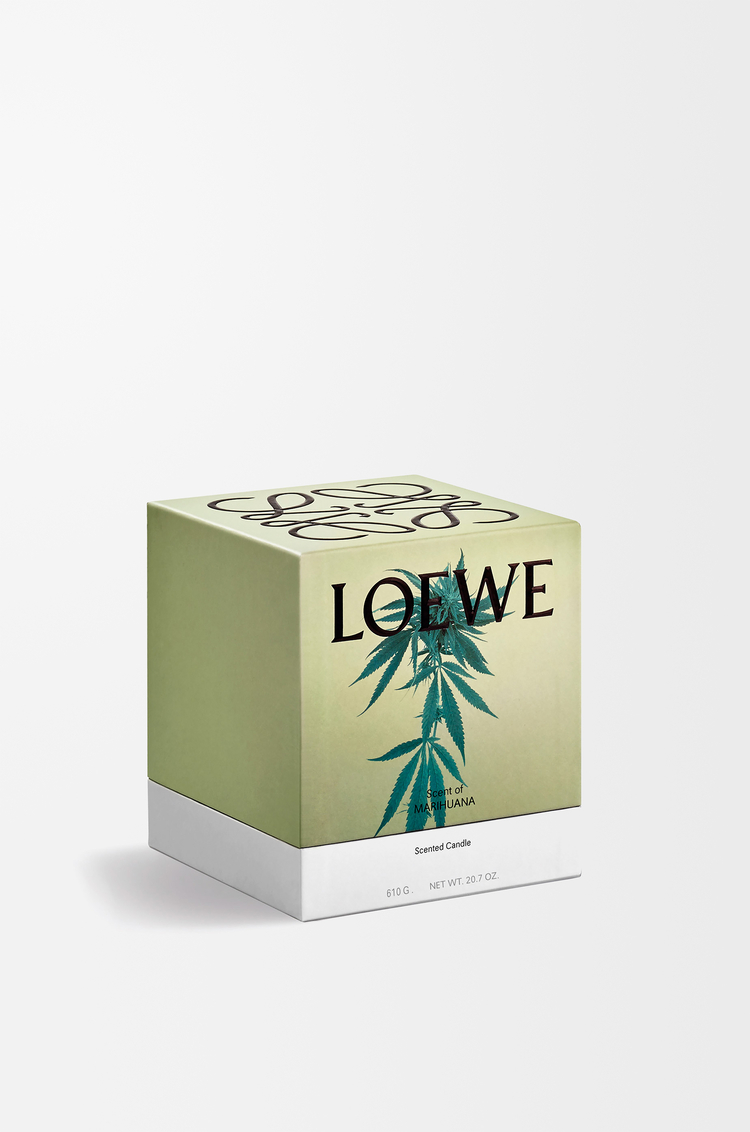 LOEWE Medium Scent of Marihuana candle Dark Green