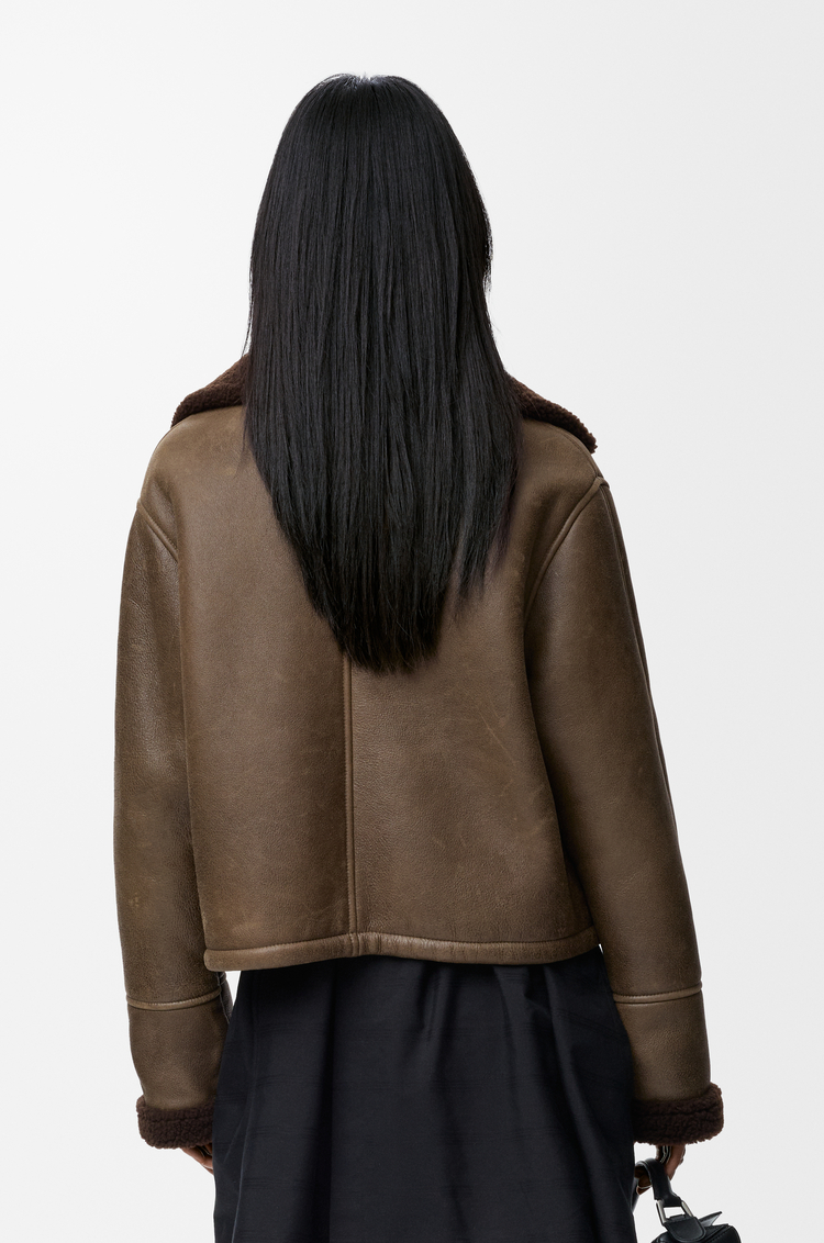 LOEWE Jacket in shearling Sage